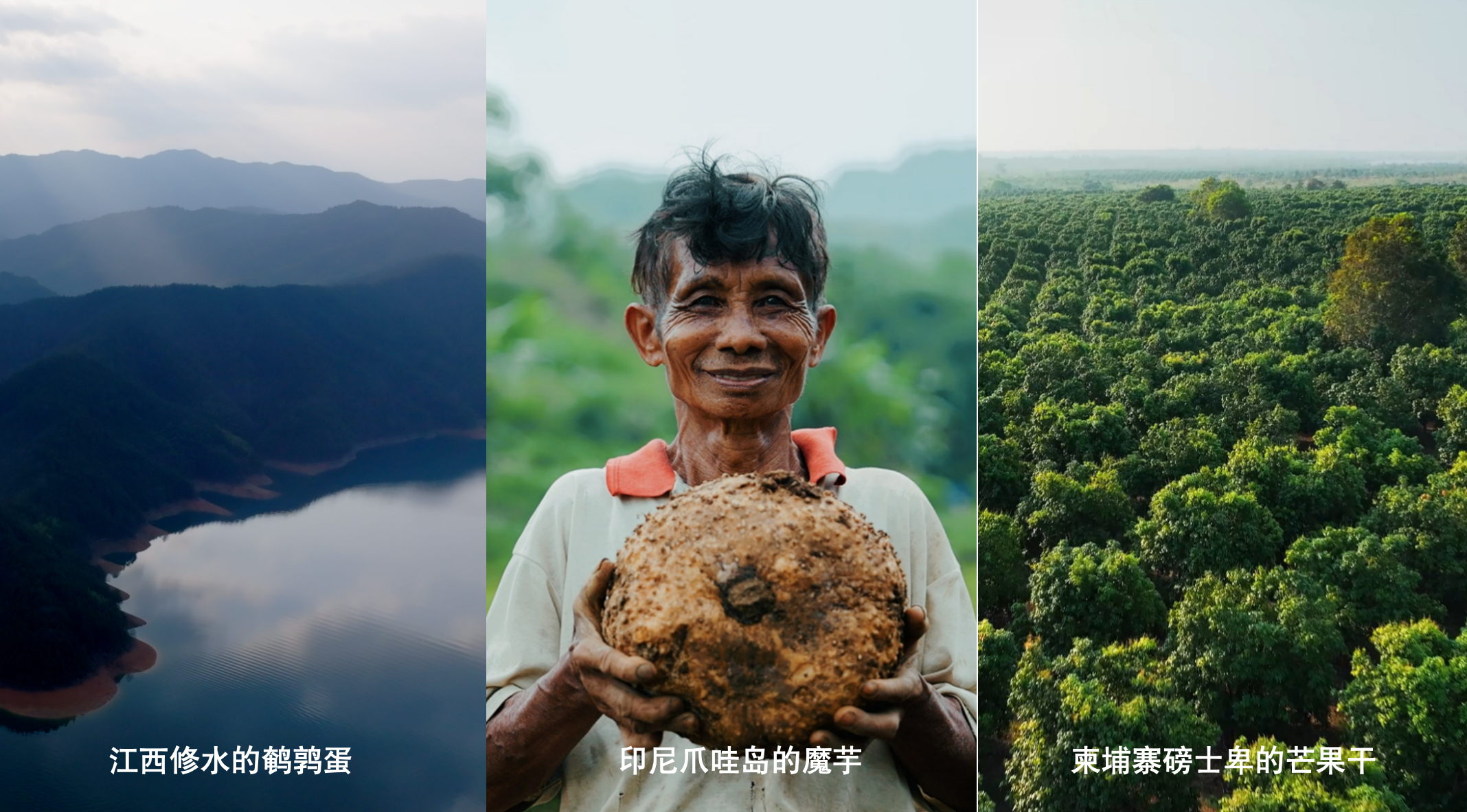 新春家書|根深則葉茂,心定則路遠(yuǎn) 新春家書|根深則葉茂,心定則路遠(yuǎn)