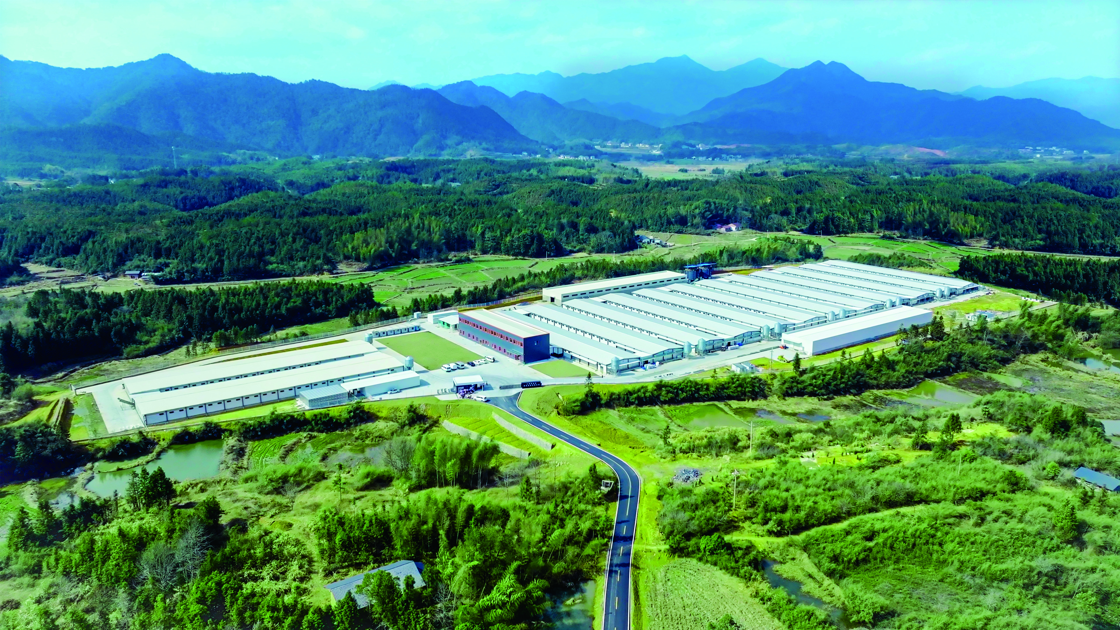 新春家書|根深則葉茂,心定則路遠(yuǎn) 新春家書|根深則葉茂,心定則路遠(yuǎn)